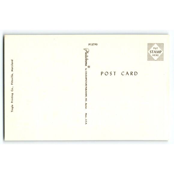 Greetings From Delaware Map Postcard State Flower Peach Blossom Postcard Chrome - Picture 2 of 2